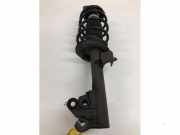 Federbein rechts vorne Mercedes-Benz B-Klasse Sports Tourer W245 1693201730