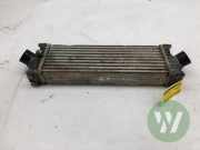 Ladeluftkühler Ford Transit Custom V362 Kasten FY, FZ CC119L440AE