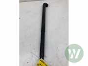 Heckklappendämpfer rechts Kia Proceed III CD 81841J7710