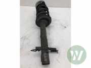 Federbein links vorne Fiat Ducato Kasten 250 50707700