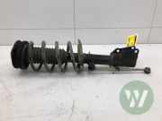 Federbein rechts vorne Renault Kangoo II Rapid FW0 543020572R