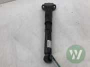 Stoßdämpfer links hinten VW ID.4 E21 1EA513049AN