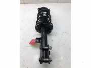 Federbein links vorne Kia Sportage 4 QL, QLE 54650F1550