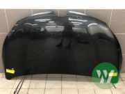 Motorhaube Renault Captur I H5, J5
