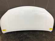 Motorhaube Nissan NV200 Kasten M20 F5100BJ0MA