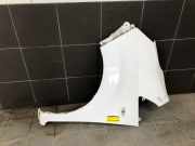 Kotflügel links vorne Nissan NV200 Kasten M20 F3101BJ0MA