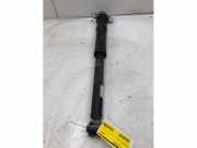 Stoßdämpfer links hinten Zastava Rival Pritsche/Fahrgestell 55300H8200