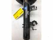 Federbein rechts vorne Nissan X-Trail III T32 E43024CB1E
