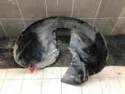 Radhaus Opel Insignia B Grand Sport Z18 39163913