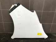 Kotflügel links vorne Renault Master III Pritsche EV 631013582R