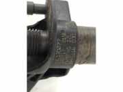 Einspritzdüse Audi A6 Avant 4F, C6 0445116030
