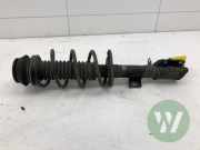 Federbein rechts vorne Suzuki Vitara LY