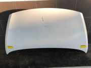 Motorhaube Kia Carens IV RP 66400A4000