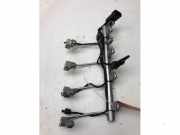 Abstellvorrichtung für Einspritzanlage Opel Astra K B16 12672583