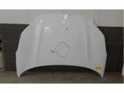 Motorhaube Kia Sportage 4 QL, QLE 66400F1000