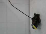 Achsschenkel rechts hinten Mercedes-Benz M-Klasse W164 1643501408