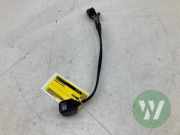 Rückfahrkamera Porsche Taycan Y1A 4M0980556B