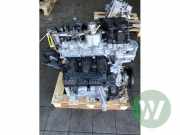 Motor ohne Anbauteile (Benzin) Opel Corsa F P2JO 1654508280
