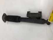 Stoßdämpfer links hinten Mercedes-Benz GLC Coupe C253 2533203000