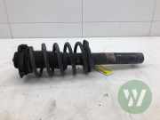 Federbein links vorne VW Passat B7 Variant 365 3AA413031M