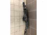 Schloss Motorhaube Fiat Ducato Kasten 250 46858215