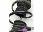 Federbein links vorne Smart Forfour Schrägheck 453 4533230300