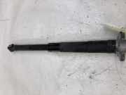 Stoßdämpfer links hinten VW Taigo CS1 2Q0513049DE