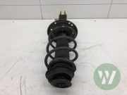 Federbein rechts vorne Fiat 500 312 351953070100