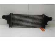 Ladeluftkühler Mercedes-Benz R-Klasse W251 1645001900