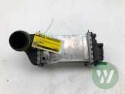 Ladeluftkühler VW Polo VI AW 05C145785C