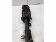 Federbein links vorne Jeep Compass MP, M6, MV, M7
