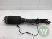 Federbein links vorne Mercedes-Benz R-Klasse W251 2513203013