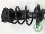 Federbein links vorne Skoda Octavia IV Combi NX5 5WA413031T