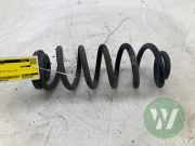 Feder hinten Audi A4 Allroad 8W, B9 8W0511115EE