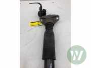 Stoßdämpfer rechts hinten Audi A4 Allroad 8W, B9 8W9616025C