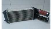 Ladeluftkühler Peugeot 2008 II UD, US, UY, UK 9803900780