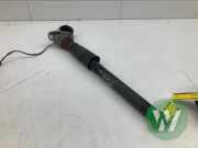 Stoßdämpfer links hinten Audi A4 Allroad 8W, B9 8W0616025H