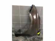 Kotflügel links vorne Kia Carens IV RP