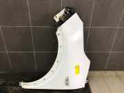 Kotflügel links vorne Opel Crossland X P17