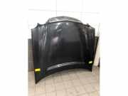Motorhaube Mercedes-Benz E-Klasse W210 2108800957