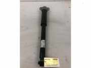 Stoßdämpfer links hinten Mercedes-Benz C-Klasse T-Modell S206 2063206002