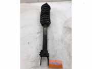 Federbein links vorne Mercedes-Benz E-Klasse W213 2133202013
