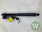 Heckklappendämpfer links Porsche Taycan Y1A 9J1827851