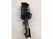 Federbein rechts vorne Kia Carens IV RP 54660A4850