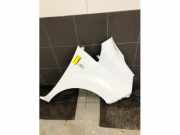 Kotflügel rechts vorne Nissan NV200 Kasten M20 F3100BJ0MA