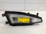 Nebelscheinwerfer links vorne VW Passat B8 Variant 3G 3G0941699