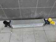 Ladeluftkühler Opel Astra K B16 39185909