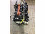 Motor ohne Anbauteile (Diesel) Kia Ceed 2 JD Z54212AZ00