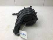 Verteilerrohr Kraftstoff Kia Niro I DE