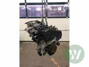 Motor ohne Anbauteile (Diesel) Ford Tourneo Connect RM7T1Q6005CA